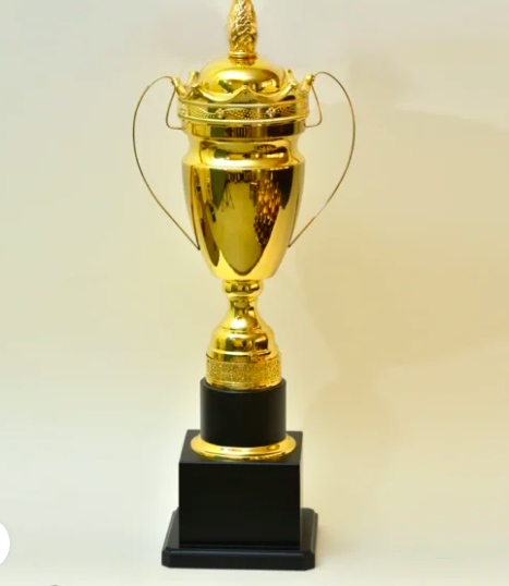 Affordable High-Quality Trophies For College Awards