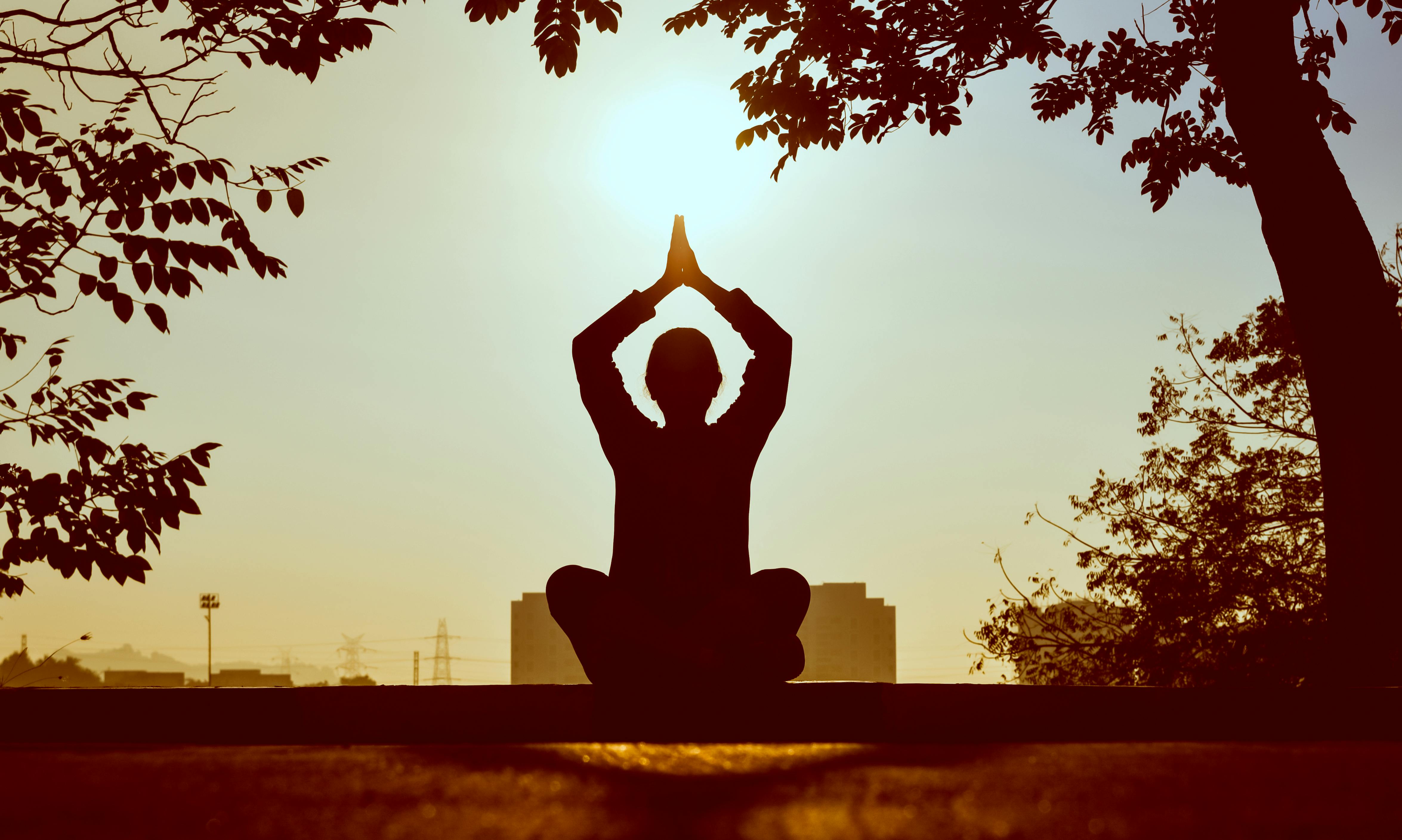 Daily Yoga: Small Moves, Profound Shifts for Mind and Body